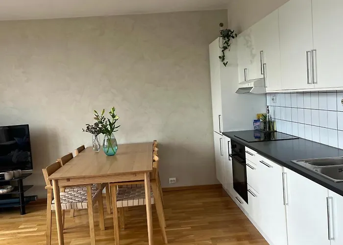 公寓 Stavanger Central Apartment 斯塔万格